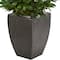4.6ft. UV Resistant Bay Leaf Cone Topiary Artificial Tree in Black Planter